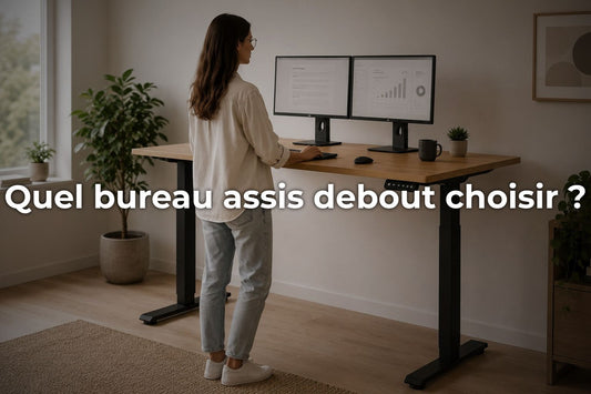 Quel bureau assis debout choisir